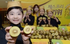 당도 최고 제주산 키위 맛보세요