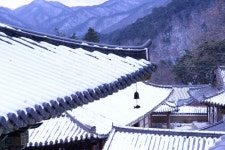 또다른 볼거리 합천, 가야산 품에 안긴 해인사·합천호… 영상테마파크선 내가 영화 속 주인공