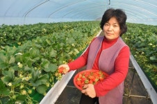 주문 밀려 쉴틈없이 바빠도 어깨춤 나네요