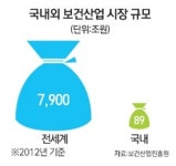 해외진출 80% 구멍가게 의원 그쳐 성장 한계