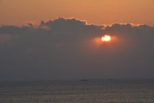 4월이 더 아름다운  서귀포, 코발트빛 바다… 유채꽃 향연… 봄볕, 표선해변에 눕다