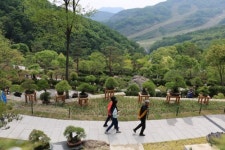 삼성 에버랜드·LG 곤지암리조트 비밀의 화원