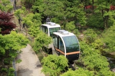 삼성 에버랜드·LG 곤지암리조트 비밀의 화원