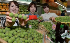 첫 출하된 하동지역 매실