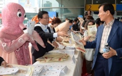 수협 어촌으로 휴가 오세요