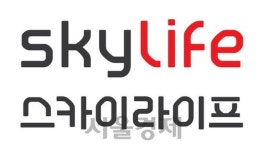 KT스카이라이프, 새로운 BI 발표