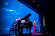 리조트의 명품 콘서트 고객 유혹