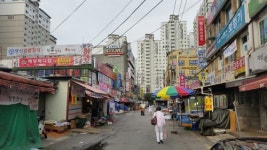 [40년만에 개발 길 열린 알짜땅 탐방] <3> 청담·도곡지구