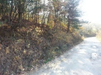 [추천 알짜물건] 역삼동 930㎡ 빌딩 50억 外