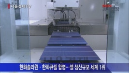 [서울경제TV SEN] 침체에 빠진 태양광 사업 최후 승자는