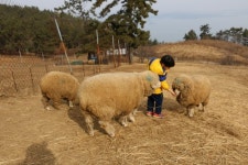 보물섬 경남 남해, 노량대첩 무대 관음포 해역… 충무공의 호령 들리는 듯