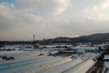 제2판교테크노밸리 예정 부지 성남 시흥·금토동 가보니 원룸·빌라 지어볼까 투자자들 북적