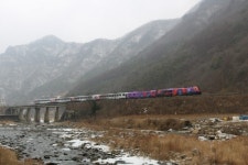 5대 관광열차 여행, 차창밖엔 눈꽃… 온돌칸엔 웃음꽃… 레일 위 낭만이 달린다