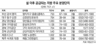 [설 특집] 부산·대구 분양 풍년… 알짜 단지 점 찍고 오자