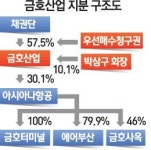 신세계·호반건설 인수전 참여… 69년 만에 갈림길 선 금호