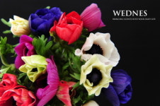 플라워 서브스크립션 서비스 WEDNES,주목