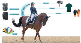 승마용품 멋내기 비정상의 정상화