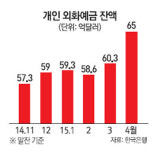 강달러에 베팅하는 김여사 스마트투자? 위험한 환테크?