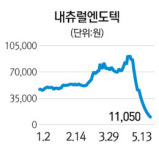 내츄럴엔도텍 개미무덤되나