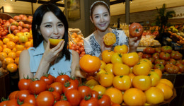22일 서울 중구 신세계백화점 본점에서 모델