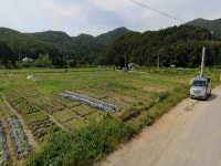 [추천 알짜물건] 광주 남종면 2만2,552㎡ 토지 44억3400만원 外