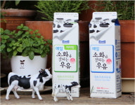 우유만 마시면 아픈 배 나도 혹시 유당불내증?… 우유 배탈 해결해주는 ‘매일 소화가 잘 되는 우유’