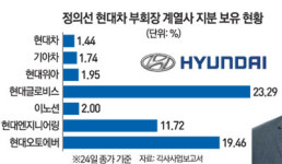 정의선 부회장 현대차 지분 전격매입… 쏟아지는 그룹 지배구조 개편 시나리오