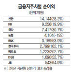 비은행·지방금융지주 상반기 순익 쏠쏠하네