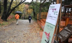 함께 걷자 서울 둘레길, 숲 내음… 도심 풍광… 내딛는 걸음걸음 쉼표가 된다