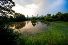도심 속의 힐링코스 서울 방이습지 인기