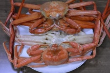 동해 7번국도 맛기행, 제철 만난 대게·곰칫국·줄가자미… 군침 도는 味路찾기