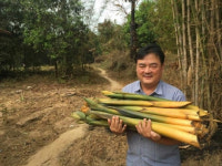 [창업 인터뷰] 배대열 황금손 대표 "미얀마 원주민만 알던 해죽순, 국내 건강식품시장서 새바람 일으킬것"