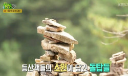 ‘생생정보‘ 강원도 삼척 명소 소개···번개시장·쉰움산부터 장호항까지