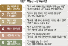<하반기 부동산시장 전망 6문 6답>1.강남 재건축 상승세 언제까지?  브렉시트+대출 규제...과열 제동 걸릴 것