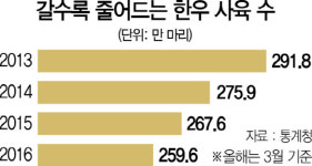 [뒷북경제] 한미 FTA의 그늘...천정부지 한우값