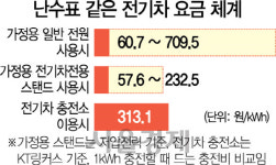 [토요WATCH] 충전장소 따라...춤추는 전기車 연료비