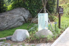 서울시립 용미리묘지에 1만200기 자연장지 추가조성