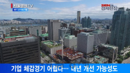 [서울경제TV] 4분기 경기전망 어둡다··· 제주·서울은 개선