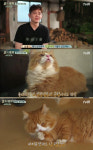 ‘삼시세끼’ 고양이 집사 윤균상, 반려묘 쿵이·몽이로... ‘심쿵’매력도 덩달아 상승