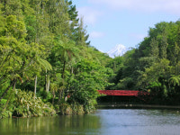 봄의 정원 뉴질랜드 타라나키로 떠나는 도보 여행
