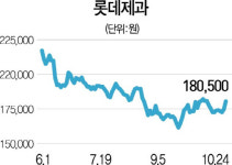 롯데그룹 지배구조 개편...제과·쇼핑·칠성 수혜