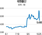 [터치 이종목]안철수와 관련없다 태원물산 하한가