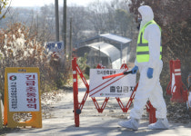 충북 진천 오리농가 고병원성 AI 확진···발생지역 9곳