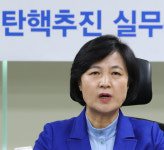 추미애 박근혜 대국민 담화, 탄핵을 앞둔 교란책이자 꼼수