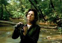 과도한 행정절차의 미로