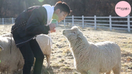 꽃브로 육성재X영민X광민, 목장을 공포분위기로 만든 이유는?