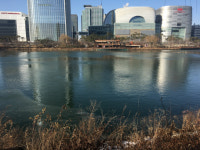 [나홀로 설에] 싱글남 둘의 어색한 명절 보내기