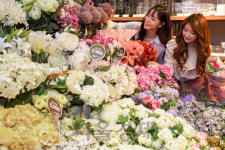 봄보다 먼저 봄꽃이