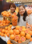 롯데마트, 풍부한 과즙의 카라카라 오렌지 판매