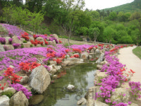 용인시, 산림휴양도시로 발돋움한다